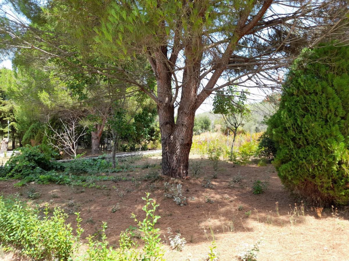 Lemontree Apartments Kassiopi Exterior photo